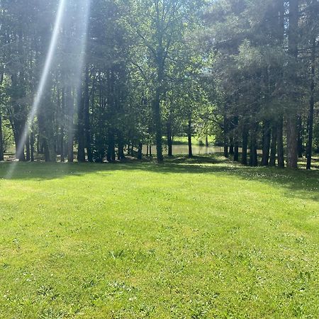 Domaine De Lithos Bed & Breakfast Fossemagne Dış mekan fotoğraf